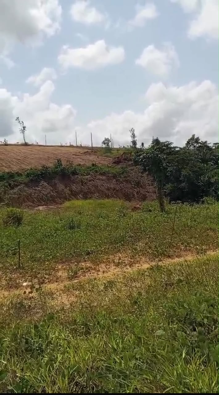 Vente de Terrain